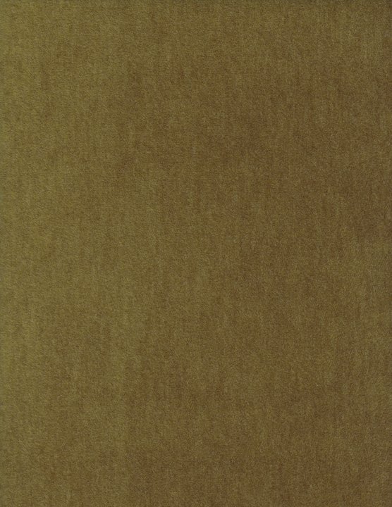 2115-70.jpg