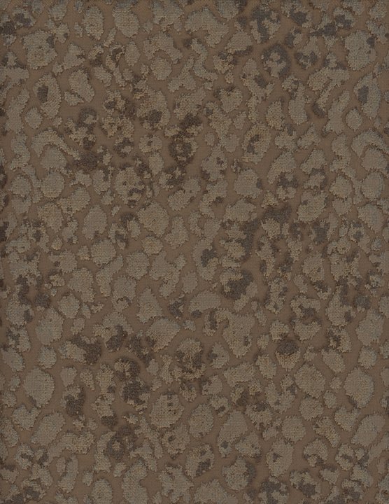 2164-80.jpg