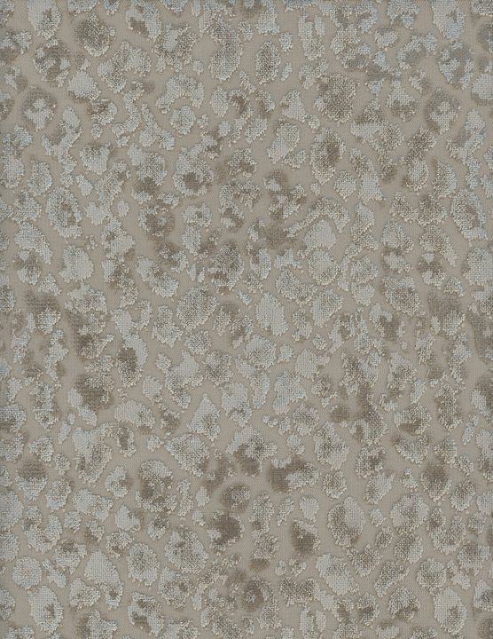 2164-85.jpg