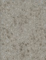 2164-85.jpg