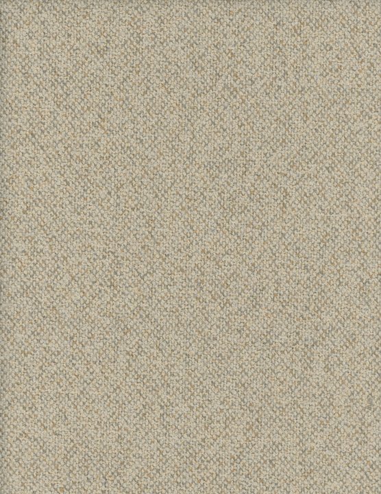 2195-20.jpg