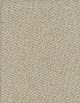 2195-20.jpg