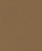 Brisa - Caramel - 3591 #1