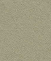 Brisa 33-303-3814 #1