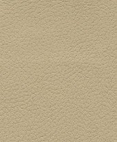 Brisa 33-3864 - Desert Clay #1