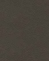 Brisa - Truffle - 3913 #1