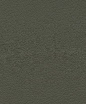 Brisa - Olive - 4488 #1