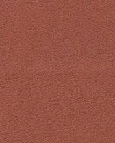 Brisa 33-8245 - Cinnabar #1