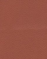 Brisa 33-8245 - Cinnabar #1