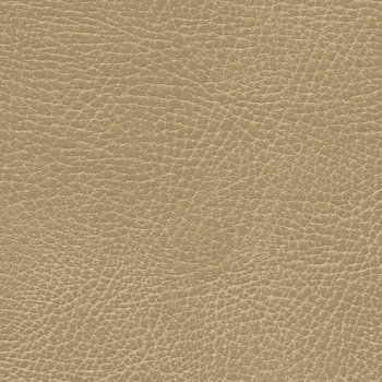 535-3134 Buckskin.jpg