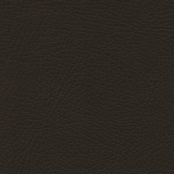 535-3231 French Roast.jpg