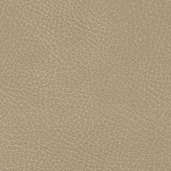 535-3340 Desert Tan.jpg