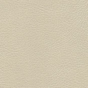 535-3480 Navajo Ivory.jpg