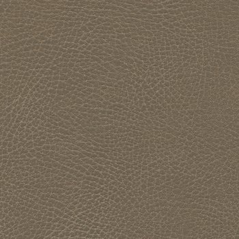 535-3871 Moccasin.jpg