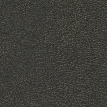 535-3974 Steerhide.jpg