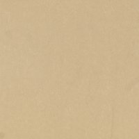 Champagne Metallic_2 6x6.jpg