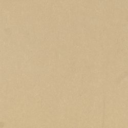 Champagne Metallic_2 6x6.jpg