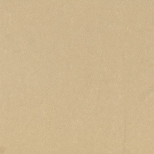 Champagne Metallic_2 6x6.jpg