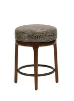 Chapin Cntr 1066-24 Transitional.jpg
