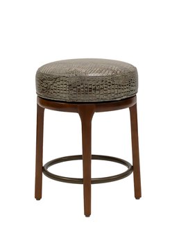 Chapin Cntr 1066-24 Transitional.jpg