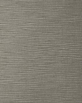 Metallic Charm - Silver Legend #1