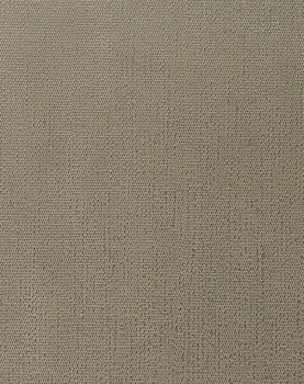 Metallic Charm - Silver #1