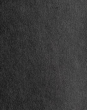 Metallic Finesse - Pearl Black #1