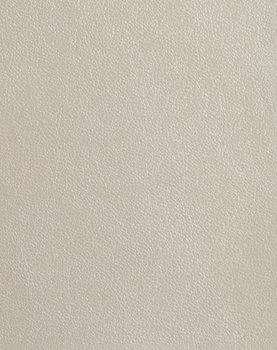 Metallic Finesse - Pearl Cream #1