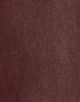 Metallic Finesse - Pearl Garnet #1