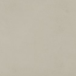 Fog 6x6.jpg