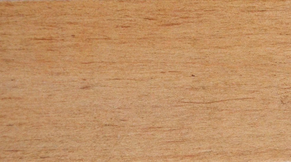 Honey Maple '21.jpg