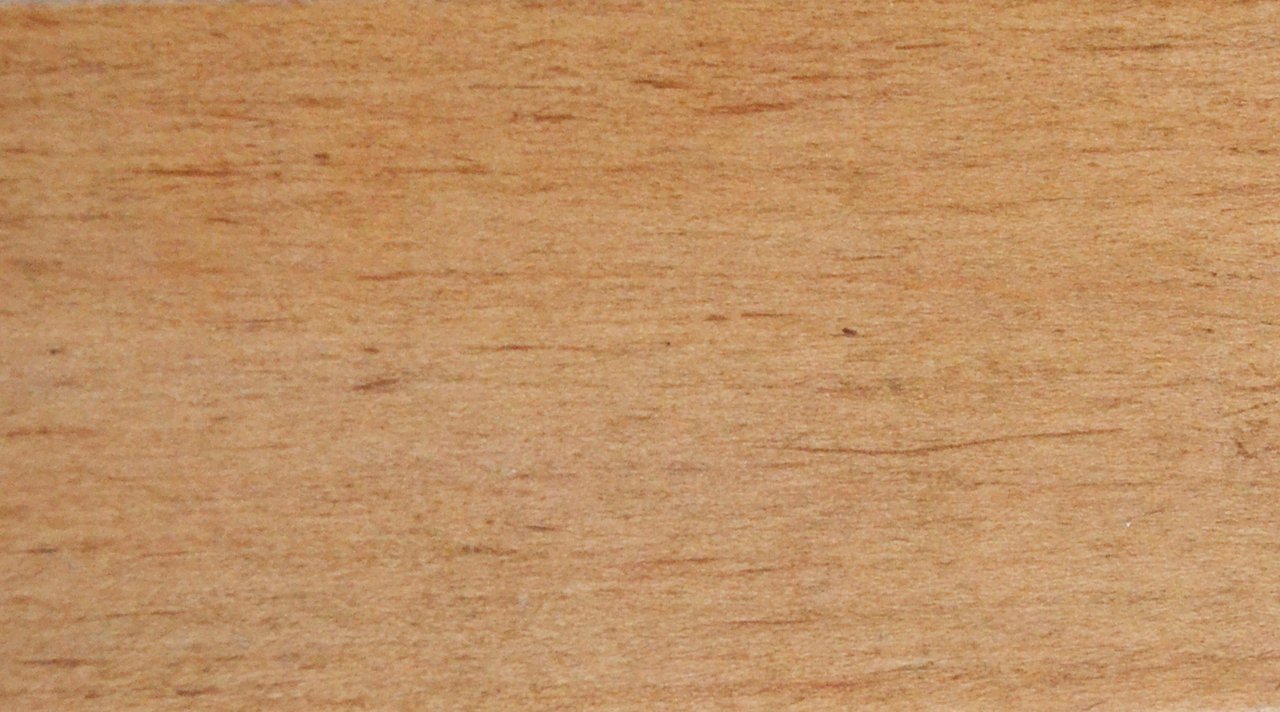 Honey Maple '21.jpg
