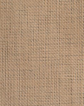 Metallic Legacy - Tan #1