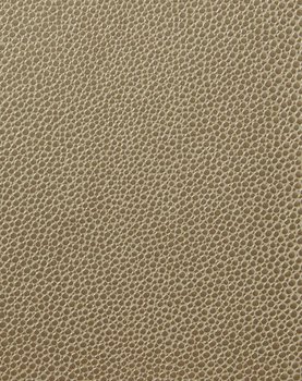 Metallic Stature - Mocha #1