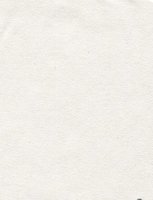Nova Suede - Strong White - T3B1W #1