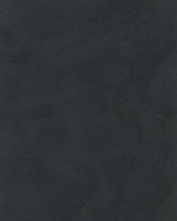 Nova Suede - Carbon - T3C6W #1