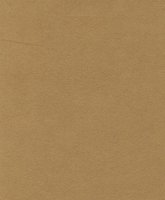 Novasuede 30-T3D3W #1