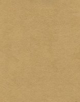 Nova Suede - Saffron - T3DGW #1