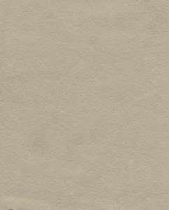 Nova Suede - Fawn - T3E4W #1