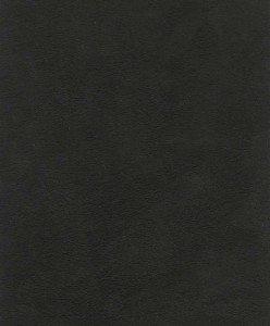 Nova Suede - Brown - T3F6W #1