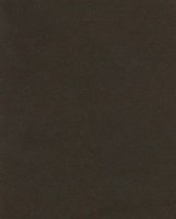 Nova Suede - Sable - T3I8W #1