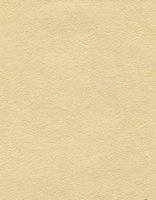 Nova Suede - Wicker - T3K7W #1