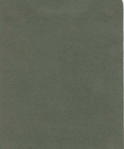 Nova Suede - Moss - T3L3W #1