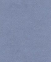 Nova Suede - Periwinkle - T3N6W #1