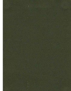 Nova Suede - Peridot -T3P7W #1