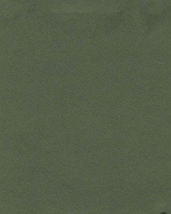 Nova Suede - Thyme - T3PBW #1