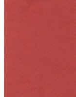 Nova Suede - Flame - T3Q1W #1