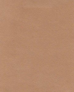 Nova Suede - Sandlewood - T3R8W #1