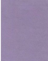 Nova Suede - Sweet Lilac - T3T1W #1